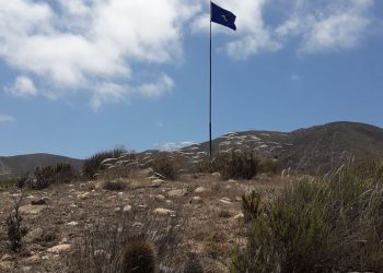 Vídeo: La Constituyente