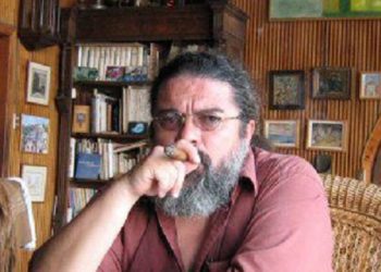 La postura constituyente (2)