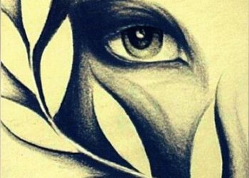 Confesiones de la muerte de Omar Monroy López (Barquito, Chañaral 1954) Ediciones Mediodía en Punto. 2019. 95 páginas.