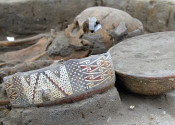 Tesoro milenario.  Hallazgo del Olivar en Las Compañías. Por  Sergio Godoy Galleguillos