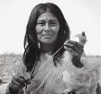 Los diaguitas en la perspectiva del siglo XX