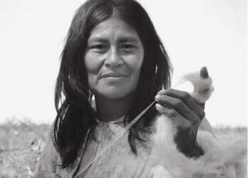 [LIBRO] Los diaguitas en la perspectiva del siglo XXI