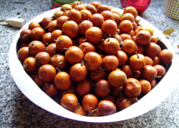 POR QUÉ SOMOS EL NORTE INFINITO. Por Arturo Volantines