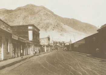 CHAÑARAL NO MORIRÁ Para no ser río seco de Sergio Fernando Olave. Por Arturo Volantines